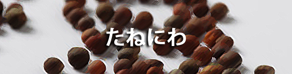 泉布観の幻の庭園をお花畑にしよう