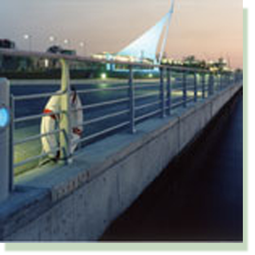 シーサイドコスモ咲洲海浜緑地